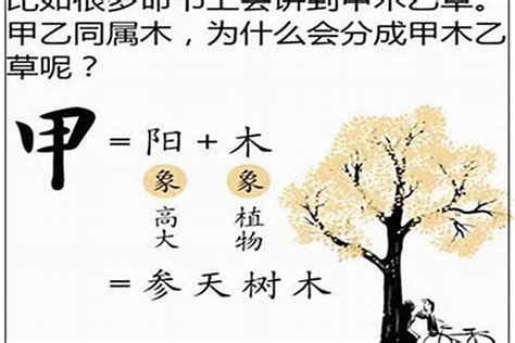 乙木八字|八字十天干详解——乙木